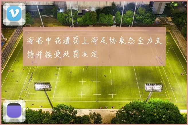 海港申花遭罚上海足协表态全力支持并接受处罚决定