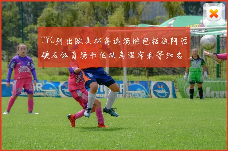 TYC列出欧美杯备选场地包括迈阿密硬石体育场和伯纳乌温布利等知名场馆
